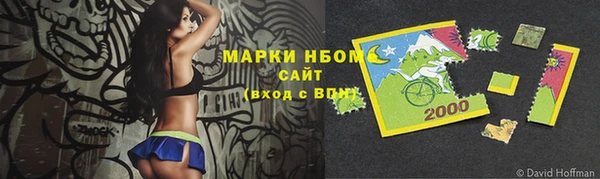 индика Заводоуковск