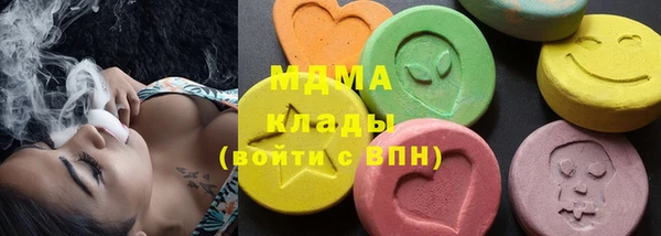 индика Заводоуковск