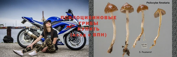 индика Заволжье
