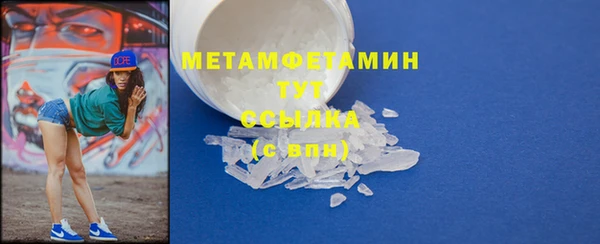 индика Заводоуковск