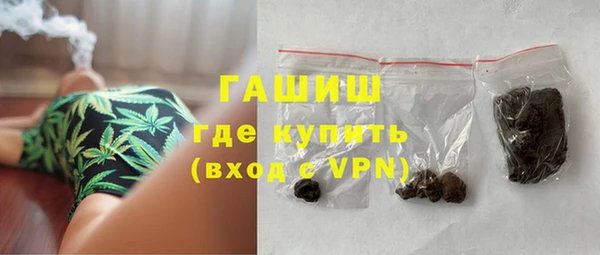 индика Заволжье