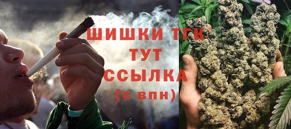 индика Заволжье