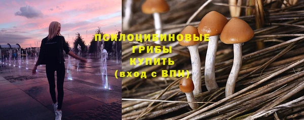 марки lsd Елабуга