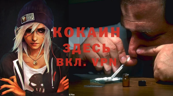 индика Заводоуковск